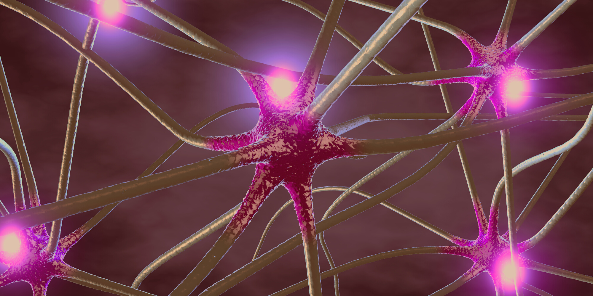 3d illustration of transmitting synapse,neuron or nerve cell